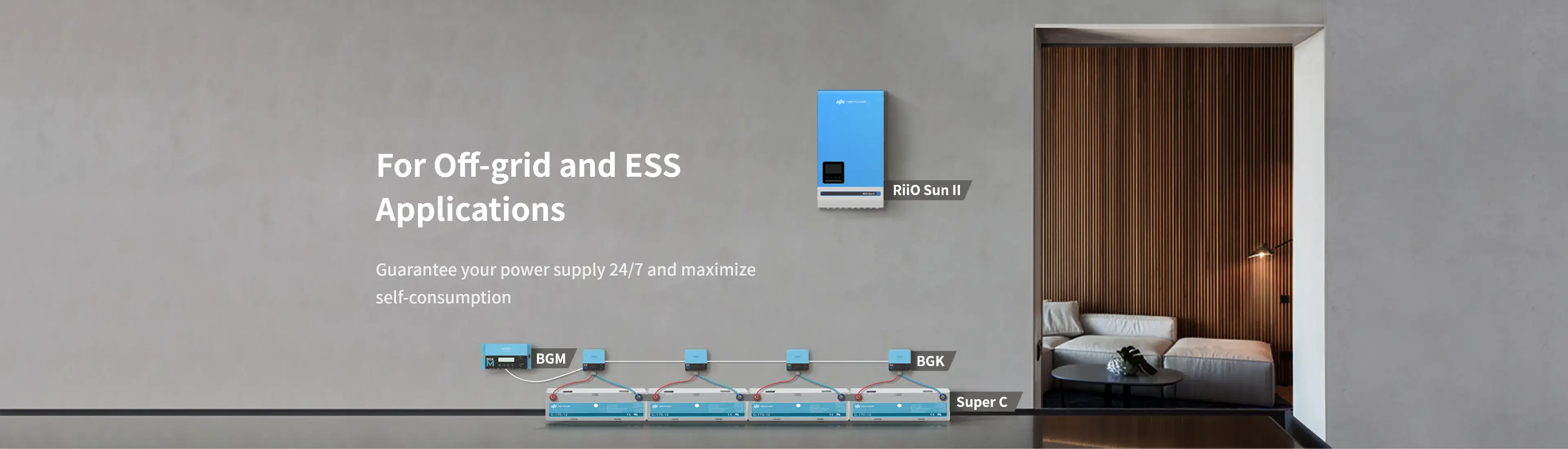 applications of BGM accessory for lead-carbon battery management